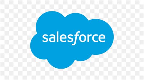 salesforce support vectorx|Vectorx.
